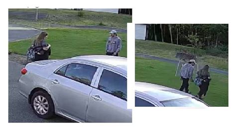 Vandals target cars in Campbell